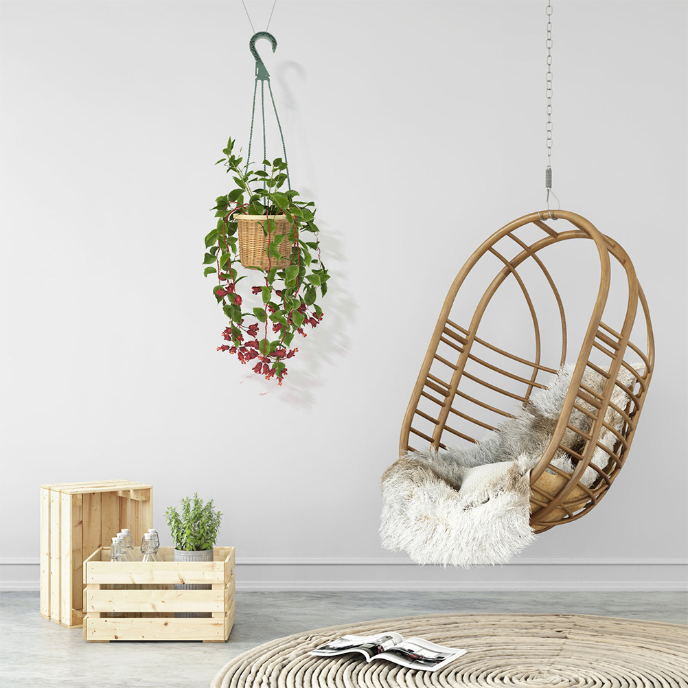 Spider Plant Hanging - 5Pcs Hanging Planter Hooks Set Space