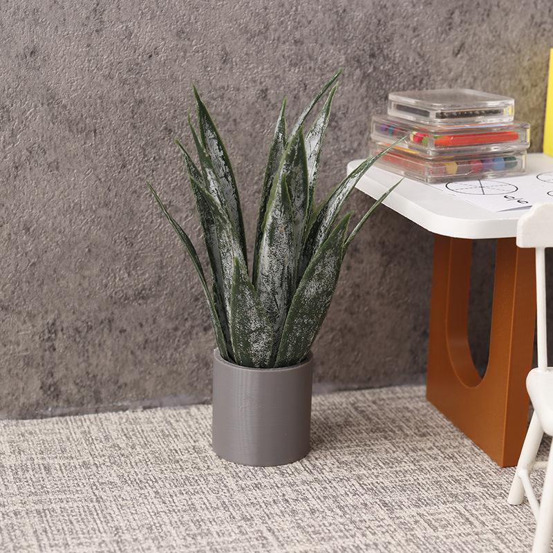 Miniature Aloe Vera Potted Pla - Aloe Vera Pot recension och pris
