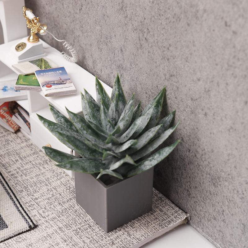 Miniature Aloe Vera Potted Pla - Aloe Vera Pot recension och pris