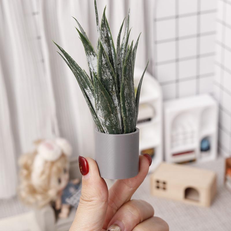 Miniature Aloe Vera Potted Pla - Aloe Vera Pot recension och pris