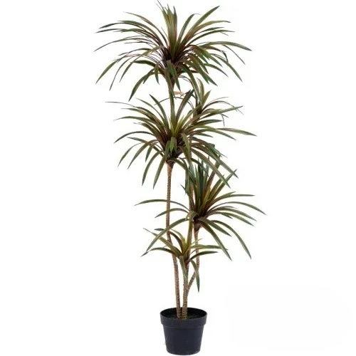 Simulation Colorful Ponytail I - Dracaena Marginata recension och pris