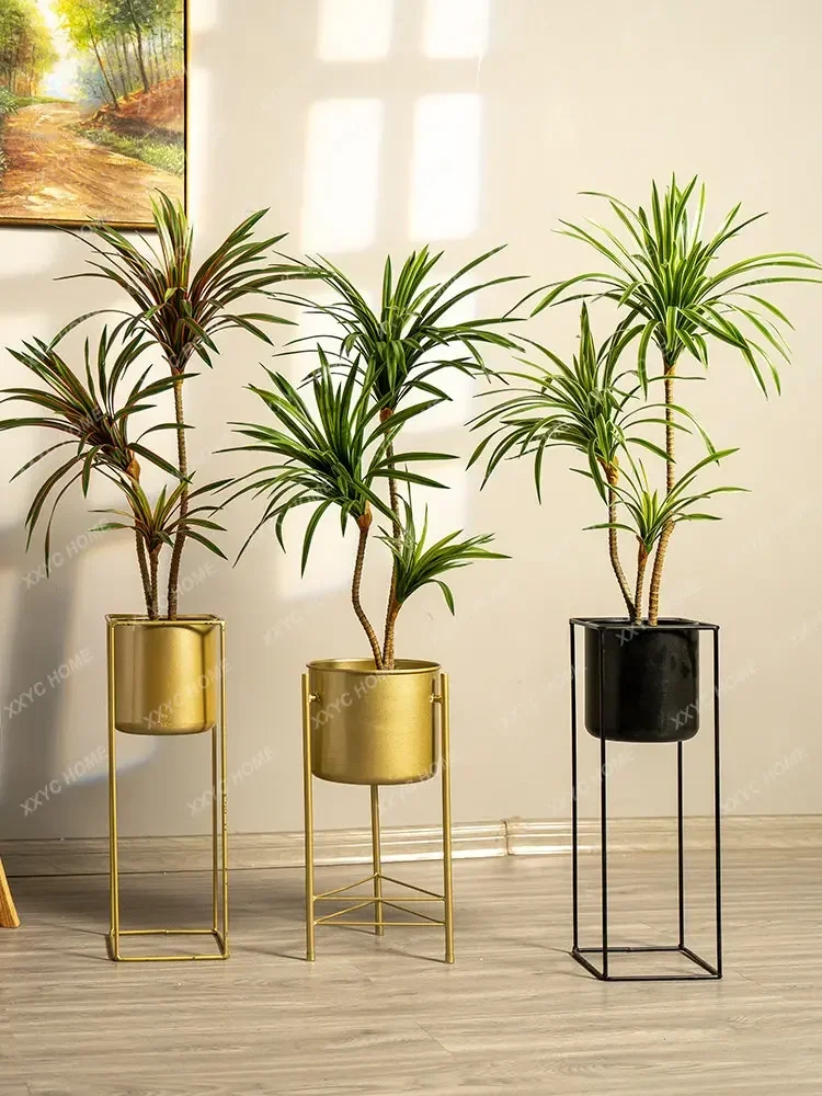 Simulation Colorful Ponytail I - Dracaena Marginata recension och pris
