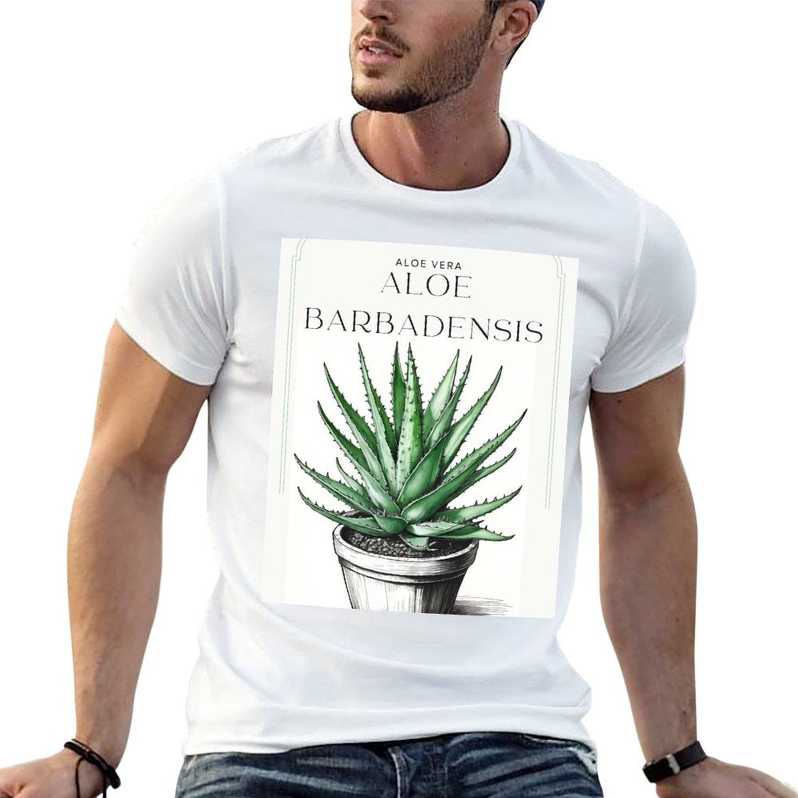 Botanical Aloe Vera in pot rus - Aloe Vera Pot recension och pris