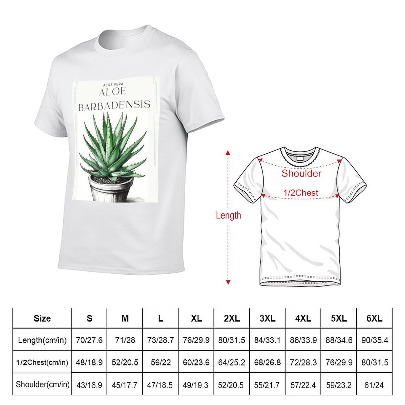 Botanical Aloe Vera in pot rus - Aloe Vera Pot recension och pris