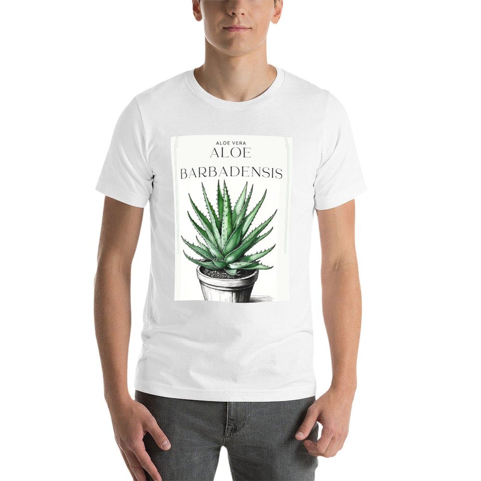 Botanical Aloe Vera in pot rus - Aloe Vera Pot recension och pris