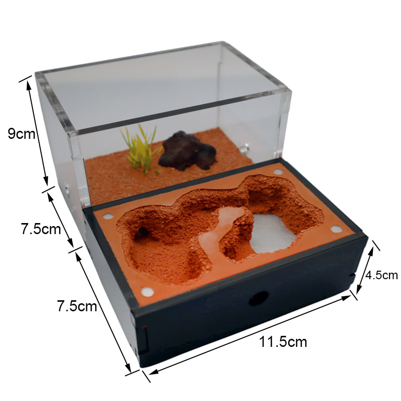Yellow Soil Ant Farm with Exte - Begonia Rex recension och pris