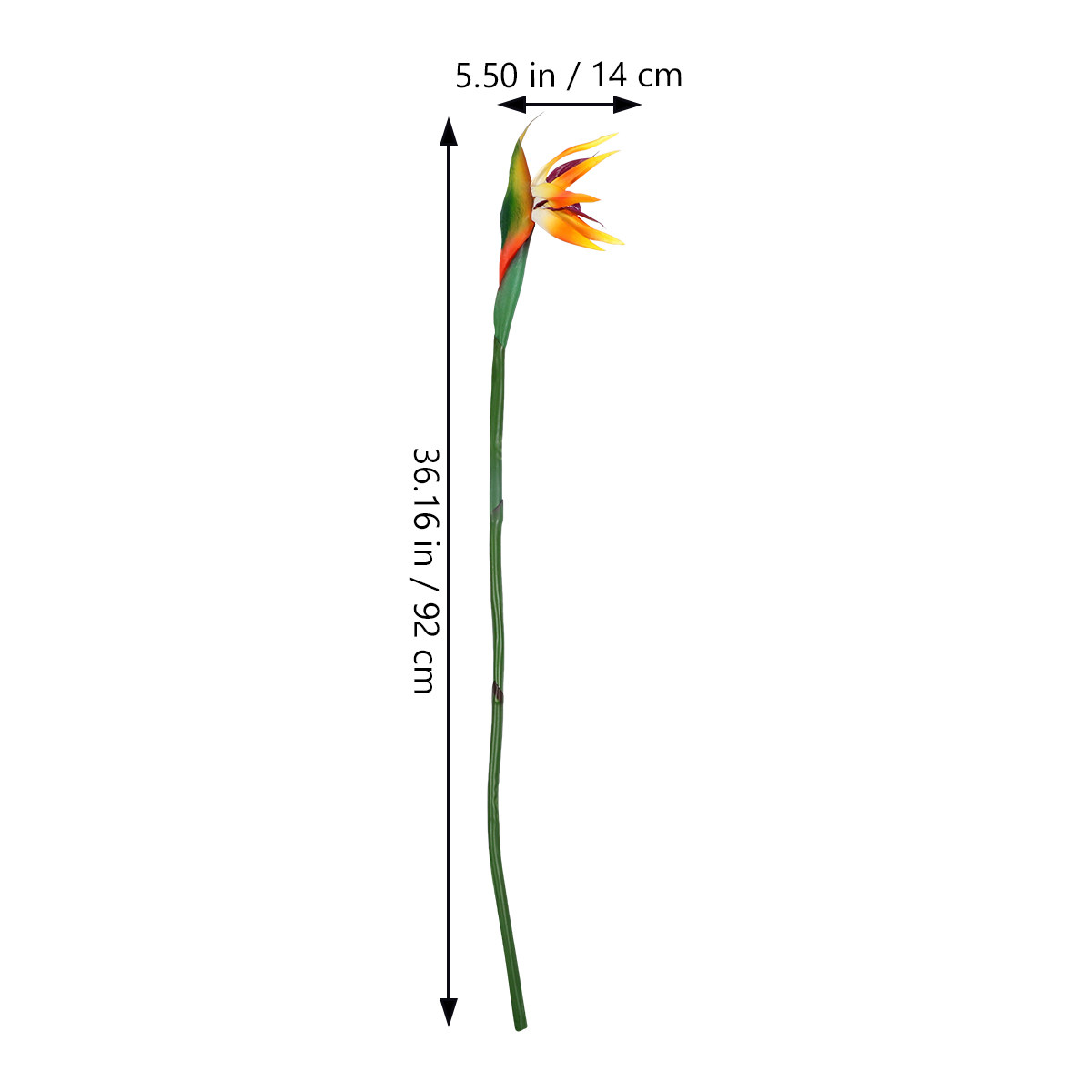 Faux Strelitzia Flower Artific - Bird Paradise Strelitzia recension och pris