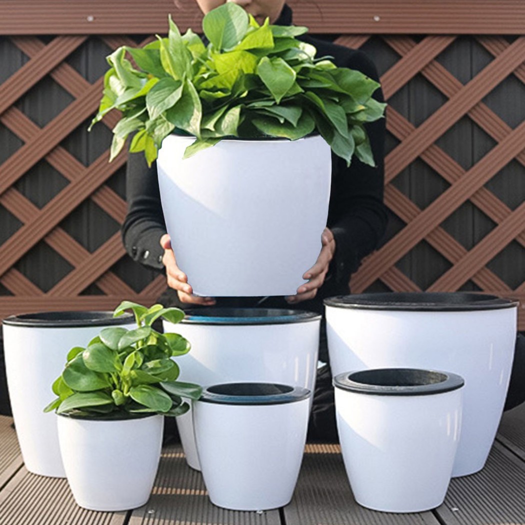 Automatic Watering Flower Plan - Aloe Vera Pot recension och pris