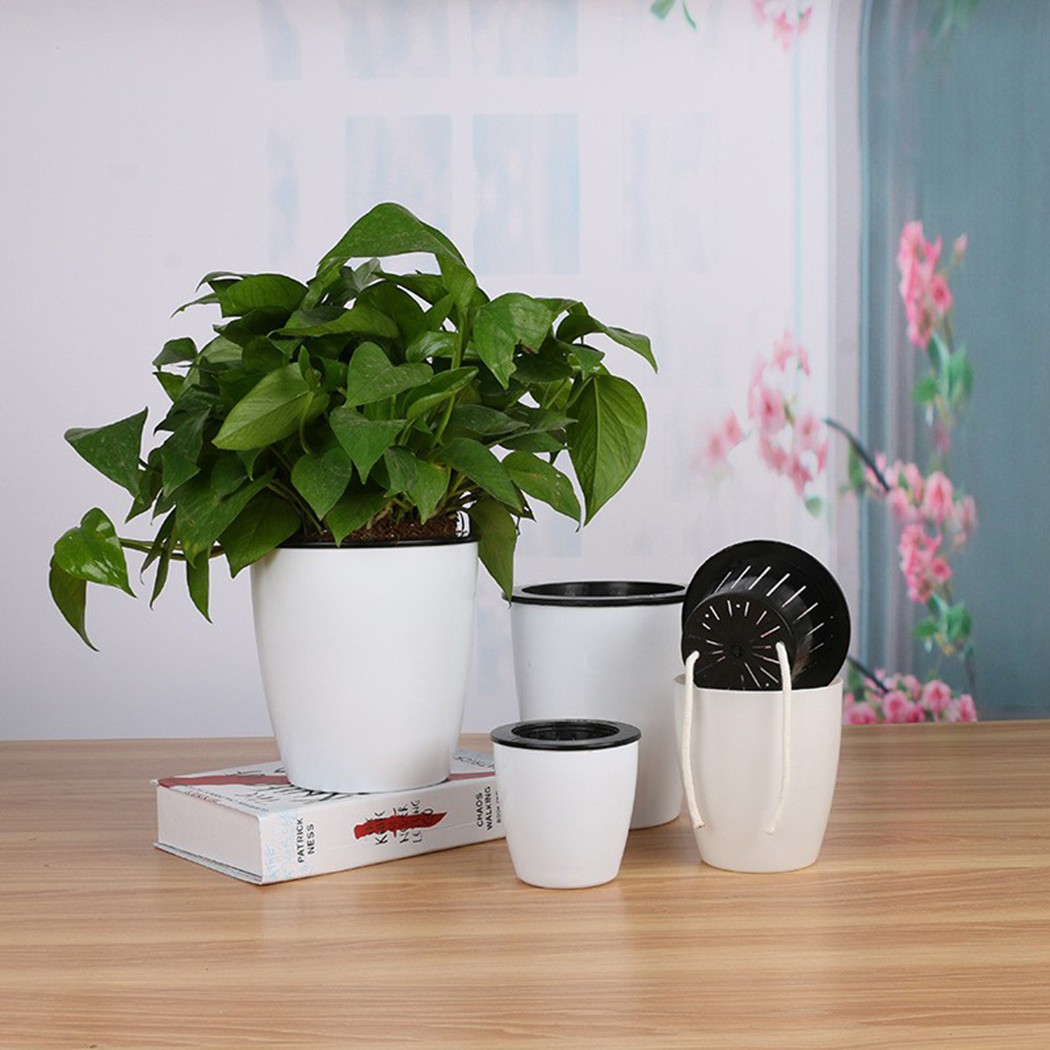 Automatic Watering Flower Plan - Aloe Vera Pot recension och pris