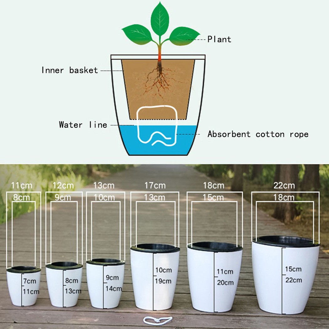 Automatic Watering Flower Plan - Aloe Vera Pot recension och pris