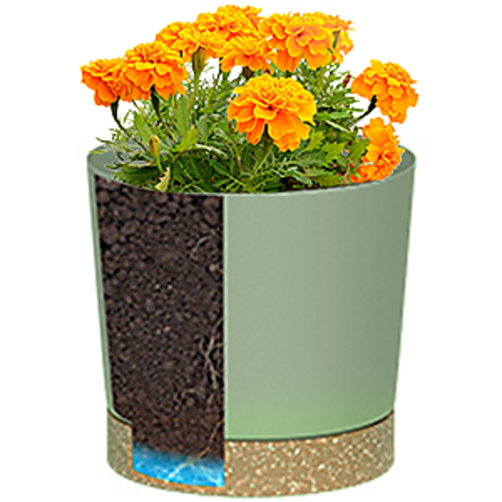 Plant POTS, lightweight Large  - Aloe Vera Pot recension och pris