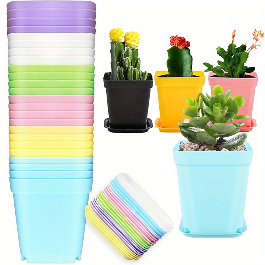 12pcs 7cm Plastic Square Pots  - Aloe Vera Pot recension och pris