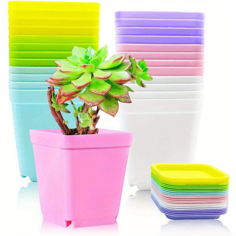 12pcs 7cm Plastic Square Pots  - Aloe Vera Pot recension och pris