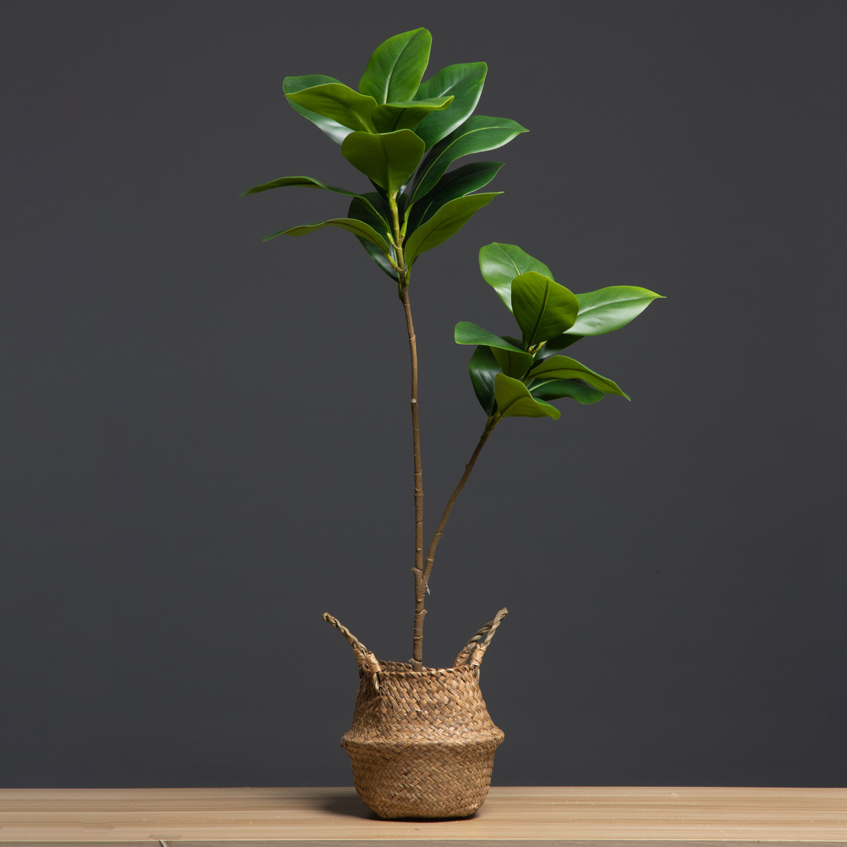 105cm 2 Forks Large Artificial - Dracaena Marginata recension och pris