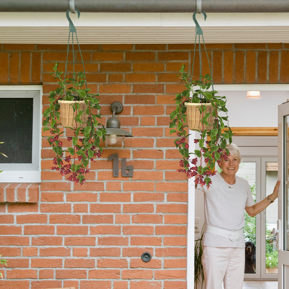 5Pcs Hanging Planter Hooks Ver - Spider Plant Hanging recension och pris